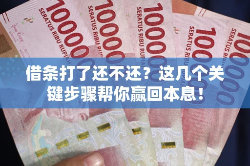 武汉借条打了还不还？这几个关键步骤帮你赢回本息！