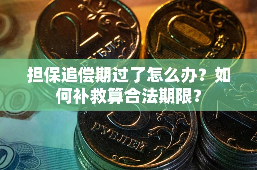 武汉担保追偿期过了怎么办？如何补救算合法期限？