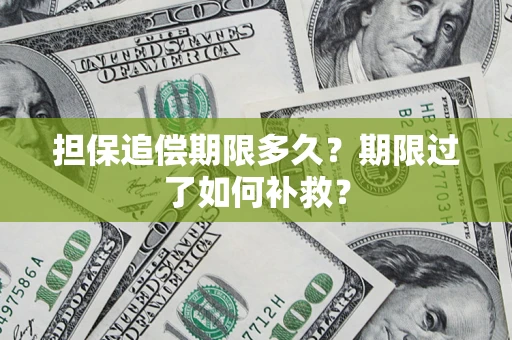 武汉担保追偿期限多久？期限过了如何补救？
