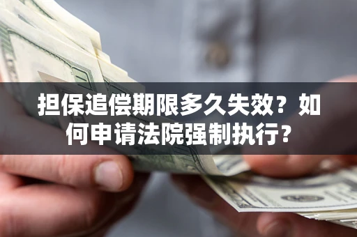武汉担保追偿期限多久失效？如何申请法院强制执行？