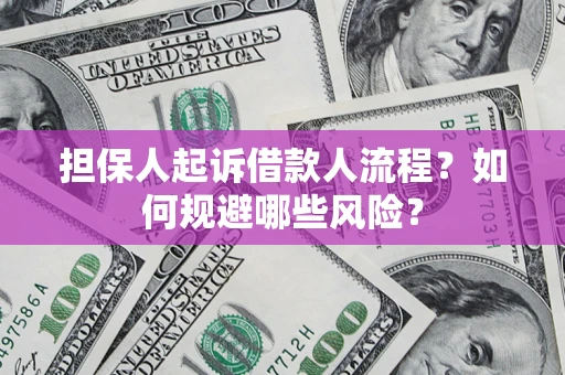 武汉担保人起诉借款人流程？如何规避哪些风险？