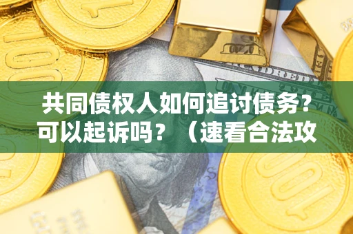 武汉共同债权人如何追讨债务？可以起诉吗？（速看合法攻略）