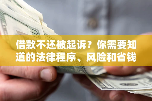 武汉借款不还被起诉？你需要知道的法律程序、风险和省钱技巧