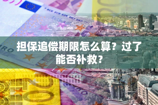武汉担保追偿期限怎么算？过了能否补救？